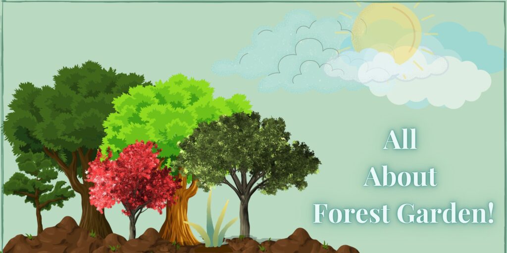 All about Forest Garden!+introduction to forest gardening