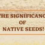 Why are Native or Indigenous Seeds Significant?+Native or indigenous seed types