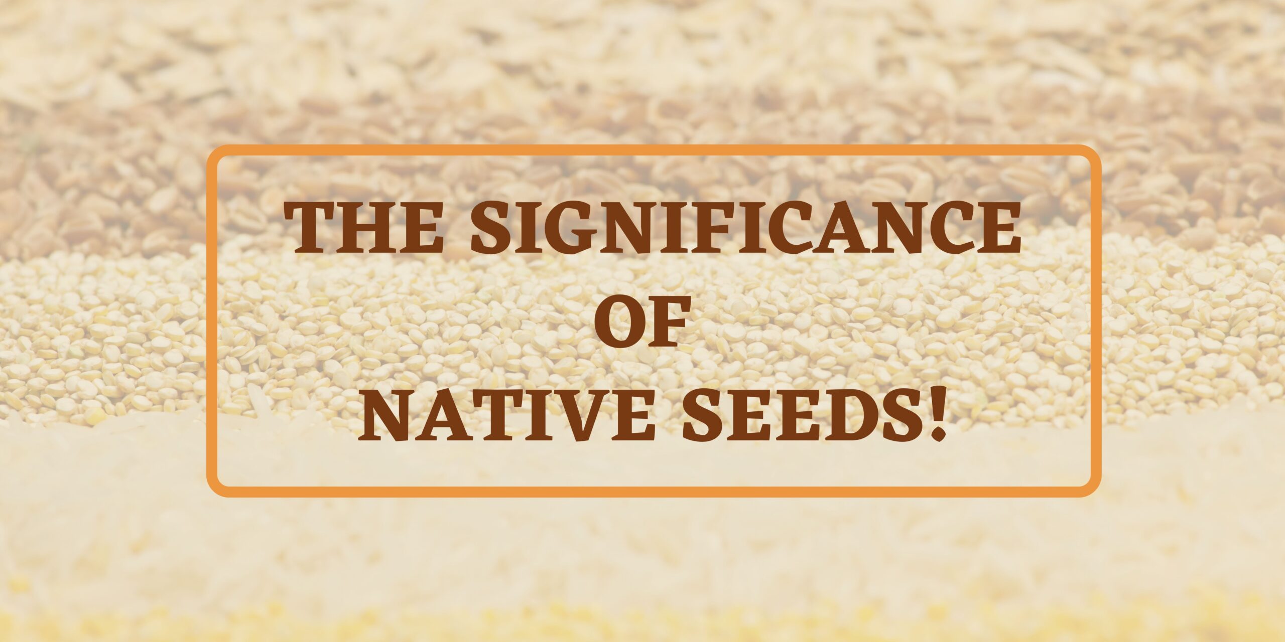 Why are Native or Indigenous Seeds Significant?