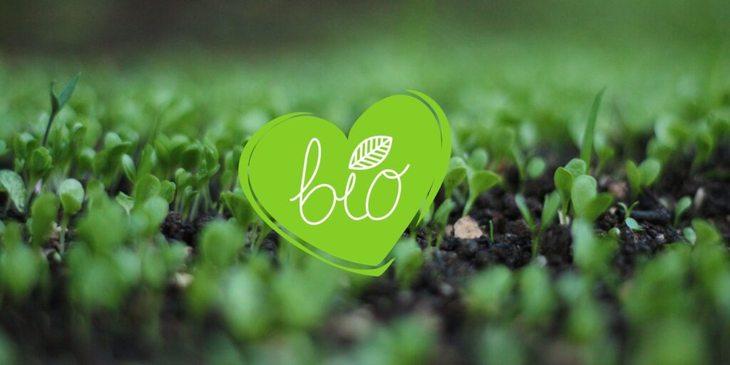 Understanding The Background of Bio-Fertilisers+benefits of bio-fertiliser