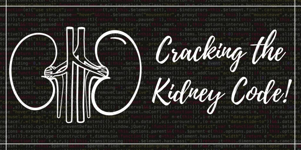 Cracking the Kidney code + Functions of kidney