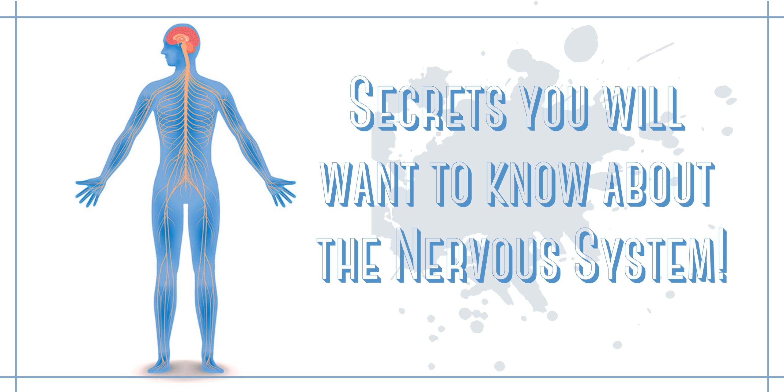 Secrets you will want to know about the Nervous System!