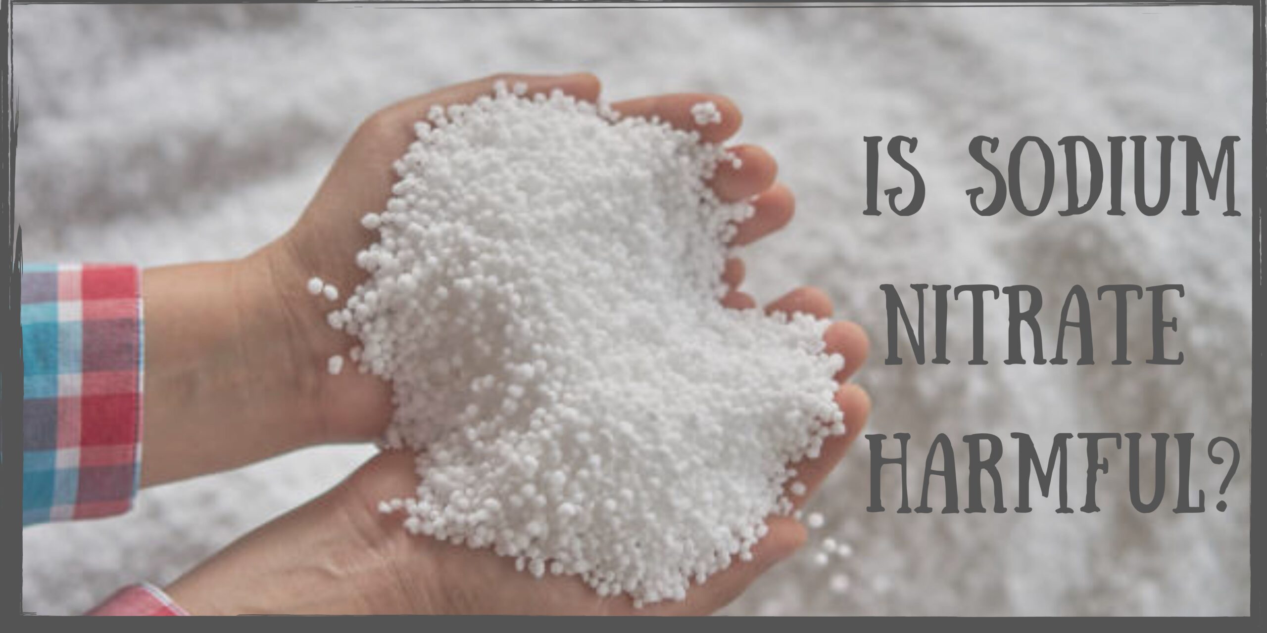 Is Sodium Nitrite harmful to health?