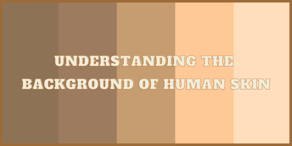 Understand the background of human skin skin+functions of human skin