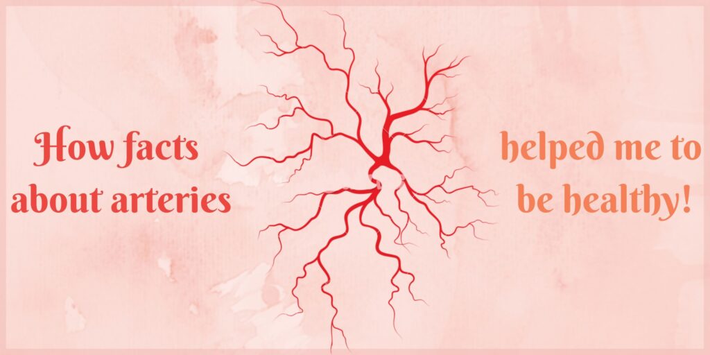 My life, my well-being How facts about arteries helped me to be healthy!+functions of the arteries
