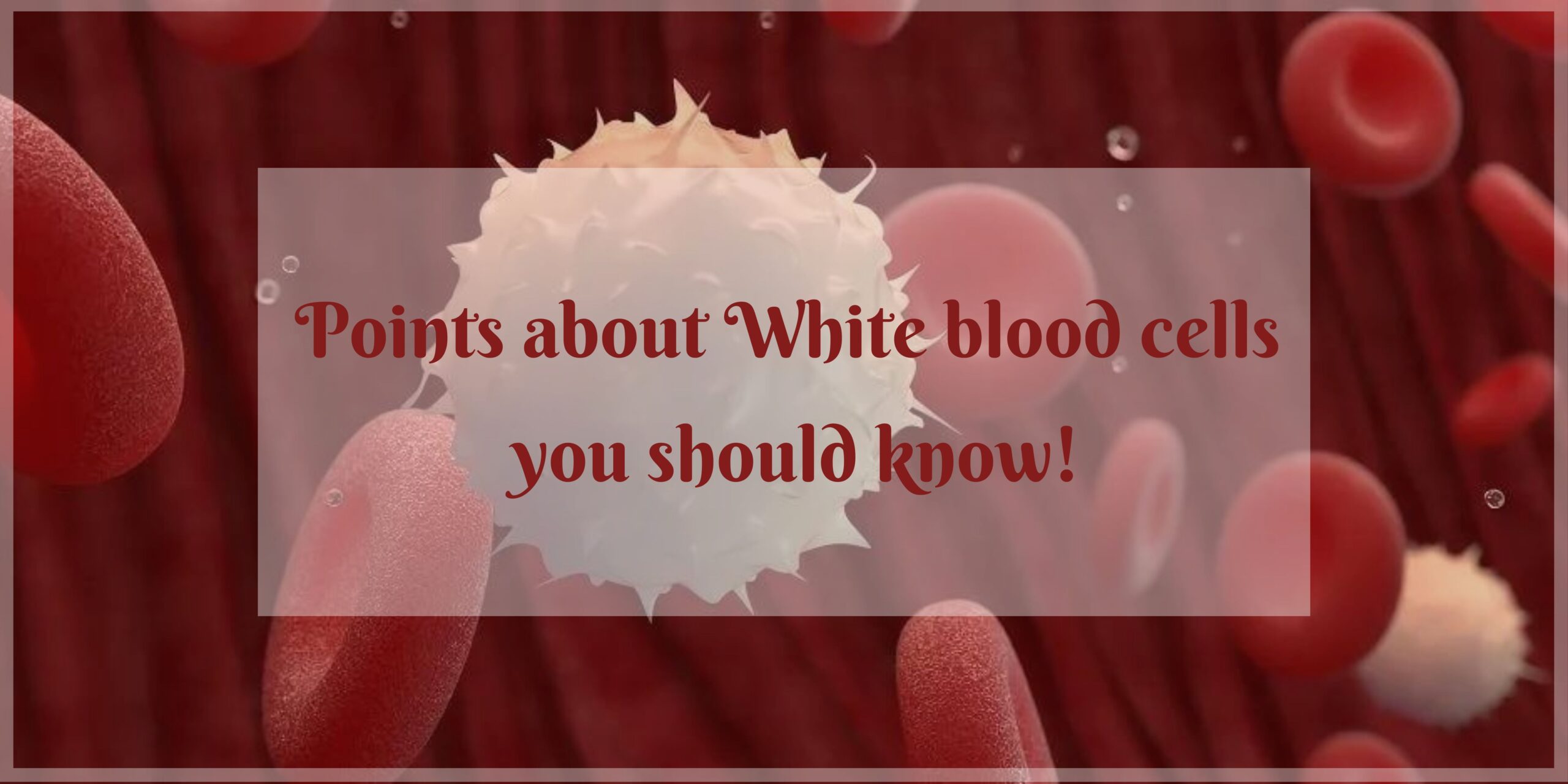 Points about White blood cells you should know!