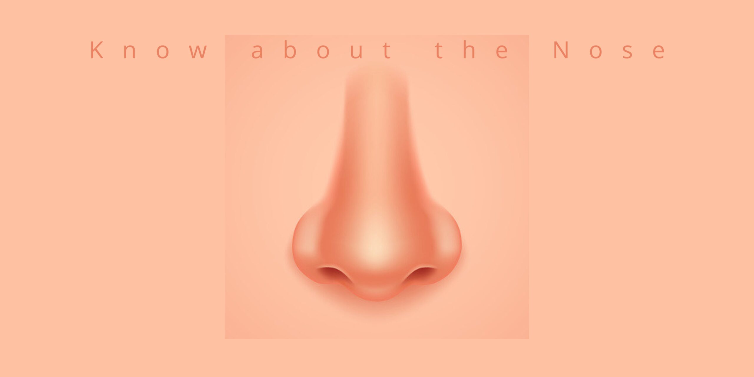 Know about the Nose!
