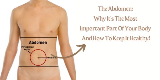 The Abdomen Why It's The Most Important Part Of Your Body And How To Keep It Healthy+The importance of the Abdomen