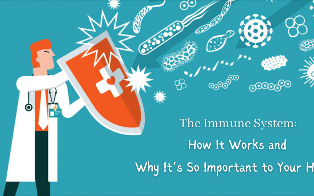The Immune System: How It Works and Why It’s So Important to Your Health