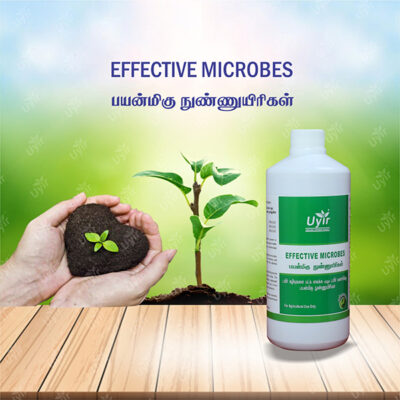 Effective Microbes 1 Ltr / பயன்மிகு நுண்ணுயிரிகள்