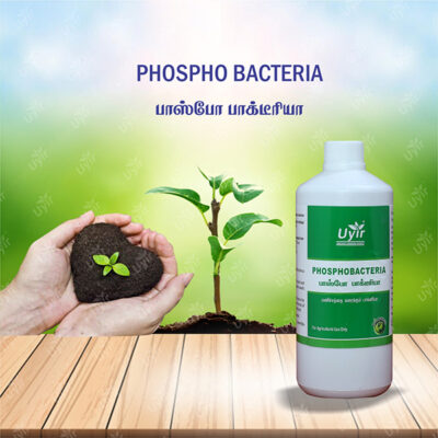 Phospho Bacteria 1 Ltr / பாஸ்போ பாக்டீரியா