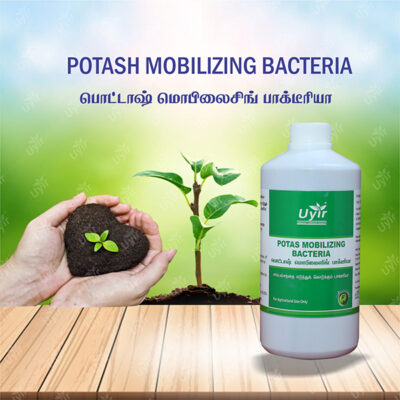 Potash Mobilizing Bacteria 1 Ltr / பொட்டாஷ் மொபிலைசிங் பாக்டீரியா