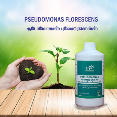 Pseudomonas Fluorescens 1 Ltr / சூடோமோனாஸ் ஃ புளோரெஸென்ஸ்