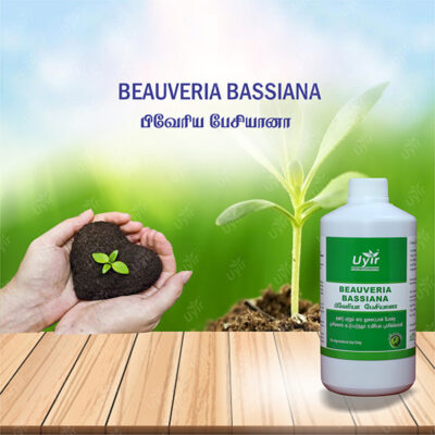 Beauveria Bassiana 1 Ltr / பிவேரியா பேசியானா