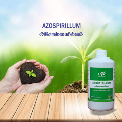 Azospirillum 1 ltr / அசோஸ்பைரில்லம்
