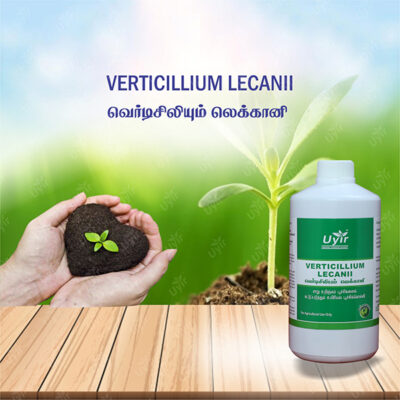 Verticillum Lecani 1 Ltr / வெர்டிசிலியம் லெக்கானி