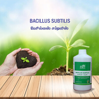 Bacillus Subtilis 1 Ltr / பேசில்லஸ் சப்டிலிஸ்