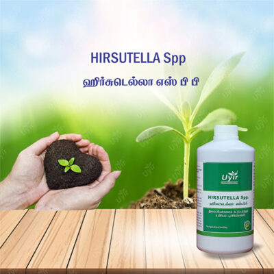Hirsutella Spp 1 Ltr / ஹிர்சுட்டெல்லா சிட்ரிபார்மிஸ்