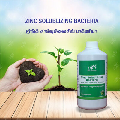 Zinc Solubilizing Bacteria 1 Ltr / ஜிங்க் மொபிலைசிங் பாக்டீரியா