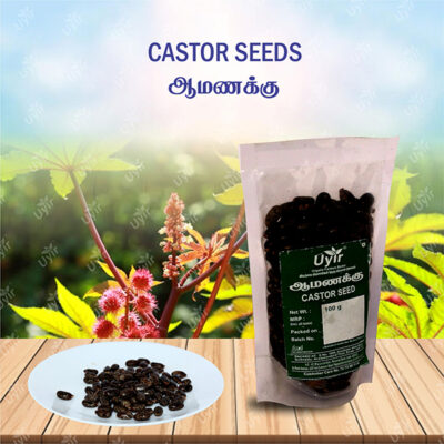 Castor Seeds 100g / ஆமணக்கு