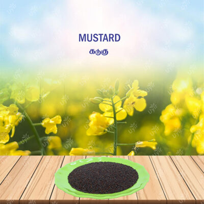 Mustard 100g / கடுகு