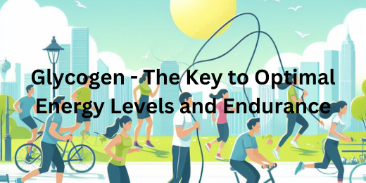 Glycogen - The Key to Optimal Energy Levels and Endurance