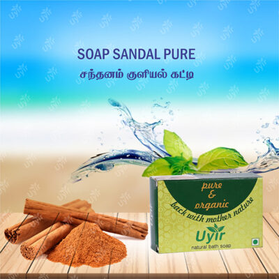 Nature bath Soap Sandal 100g / சந்தனம்