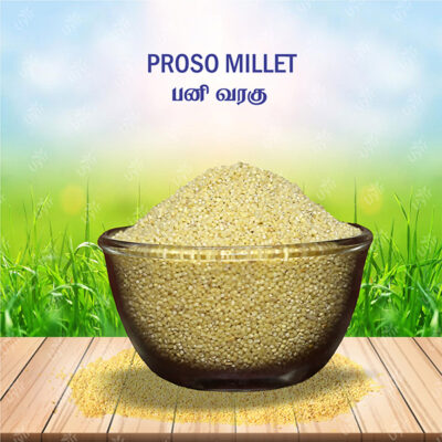 Proso Millet 500g / பனி வரக