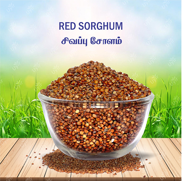 Red Sorghum – From Ancient Grain to Superfood Sensation