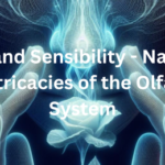 Scents and Sensibility - Navigating the Intricacies of the Olfactory System+Role of the olfactory system