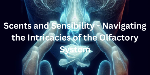 Scents and Sensibility – Navigating the Intricacies of the Olfactory System