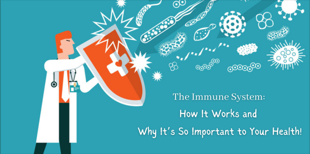 The Immune System How It Works and Why It's So Important to Your Health