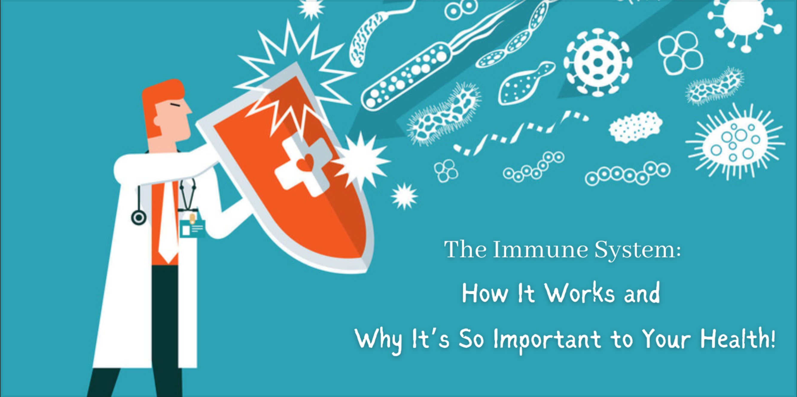 The Immune System: How It Works and Why It’s So Important to Your Health