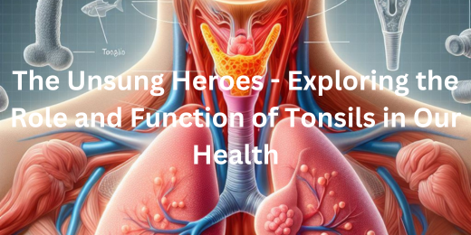 The Unsung Heroes – Exploring the Role and Function of Tonsils in Our Health