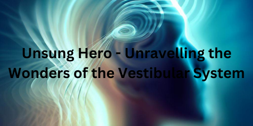 The Unsung Hero – Unravelling the Wonders of the Vestibular System