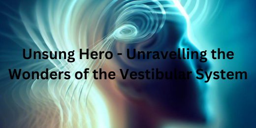 Unsung Hero - Unravelling the Wonders of the Vestibular System+Understanding the Vestibular system