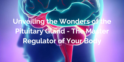 Unveiling the Wonders of the Pituitary Gland – The Master Regulator of Your Body