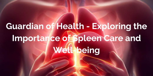 Guardian of Health – Exploring the Importance of Spleen Care and Well-being