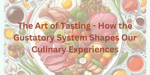The Art of Tasting – How the Gustatory System Shapes Our Culinary Experiences