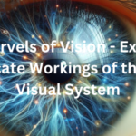 The Marvels of Vision - Exploring the Intricate Workings of the Human Visual System