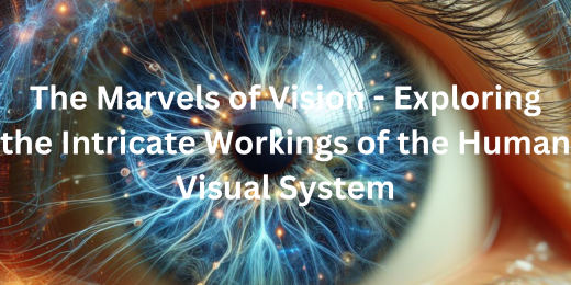 The Marvels of Vision – Exploring the Intricate Workings of the Human Visual System