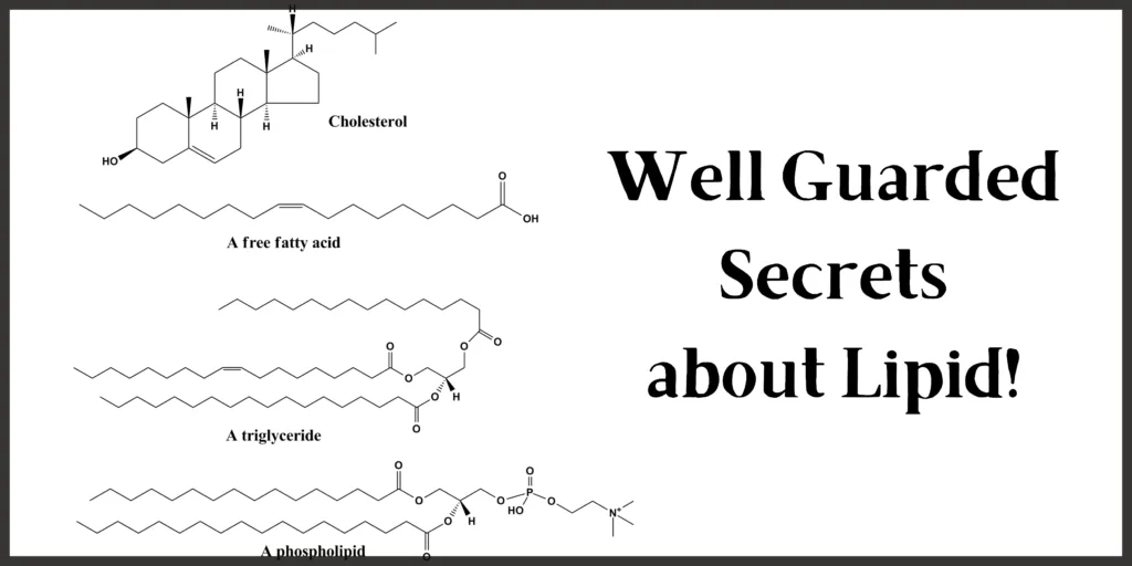 Well-guarded secrets about Lipid + lipid