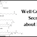 Well-guarded secrets about Lipid + lipid