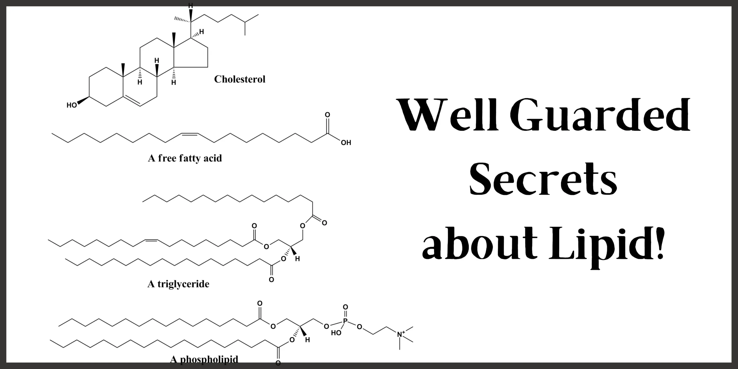 Well-guarded secrets about Lipid