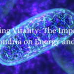 Fueling-Vitality-How-Mitochondria-Impact-Energy-and-Health-Function-of-Mitochondria