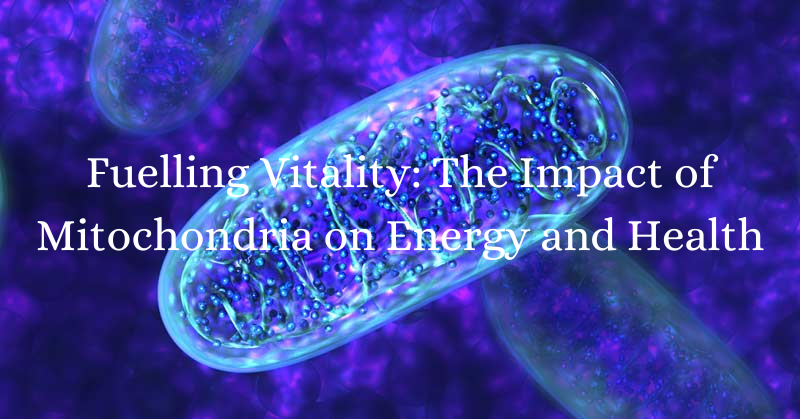 Energizing Life: The Remarkable Influence of Mitochondria on Health