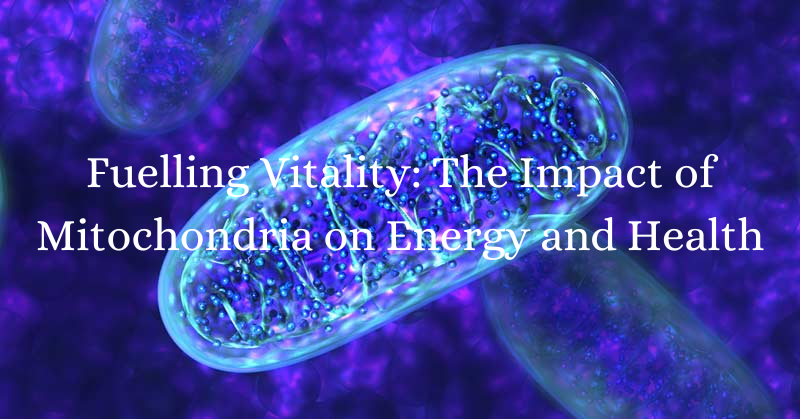 Fueling-Vitality-How-Mitochondria-Impact-Energy-and-Health-Function-of-Mitochondria