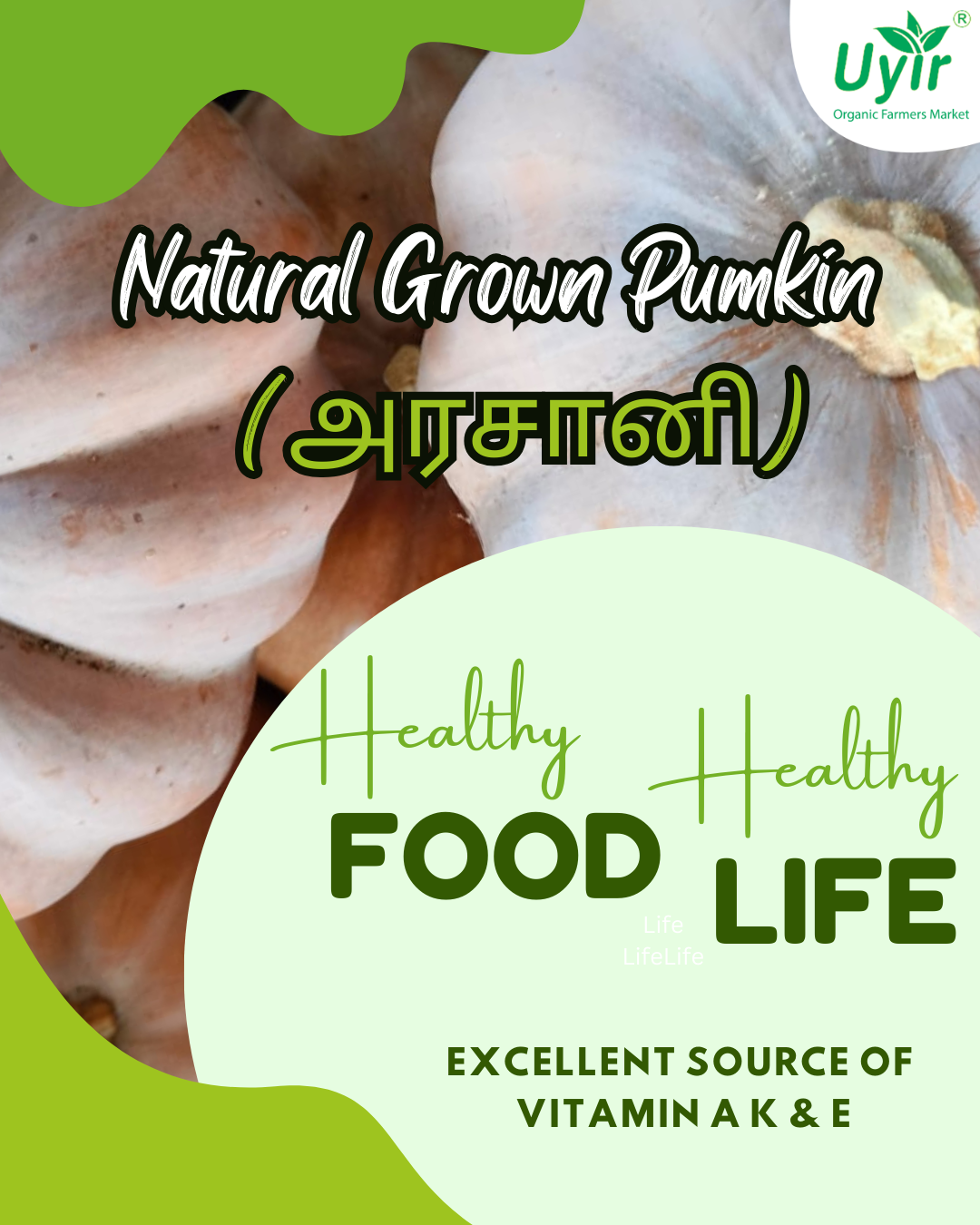 Unveiling the Health Benefits of Pumpkin – A Nutrient-Packed Superfood