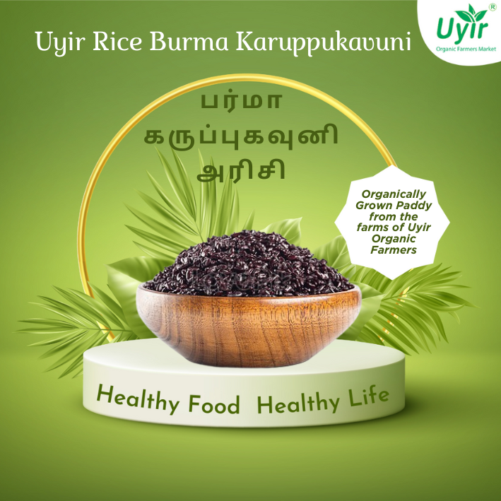 பர்மா கருப்புகவுனி அரிசி (Burma Black Rice)