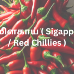 சிவப்புமிளகாய் ( Sigappu Milagai Red Chillies )+சிகப்பு மிளகாயின் நன்மைகள்